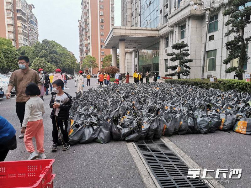 780份蔬菜包送到了湘林小區(qū)院內(nèi)。長(zhǎng)沙晚報(bào)實(shí)習(xí)生 羅楊 攝